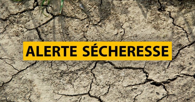 Dürre: Verbreitung des Erlasses zur Einschränkung der Wassernutzung vom 12. August 2025