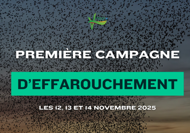 PREMIÈRE CAMPAGNE D’EFFAROUCHEMENT